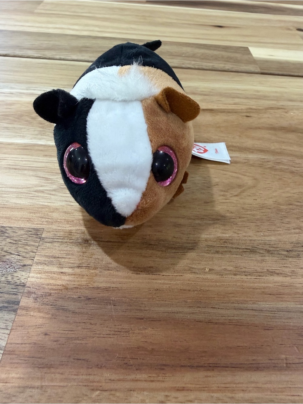 Ty Beanie Boo Teeny Plush Guinea Pig Theo in Black, White & Brown with Pink Eyes